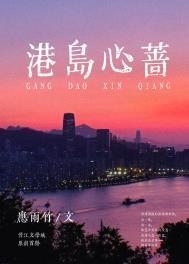 港岛心蔷txt百度