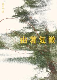 由著复微 见佳音百度