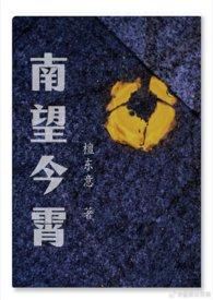 南望今霄by檀东意