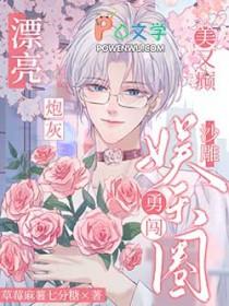 漂亮炮灰是什么文