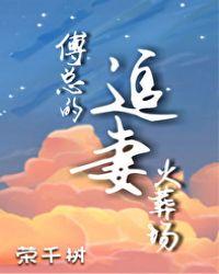 傅总的追妻火葬场全文阅读