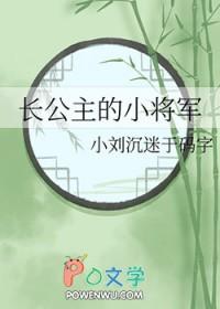 长公主与将军附马的古言
