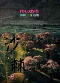 沙棘汁原浆功效和副作用