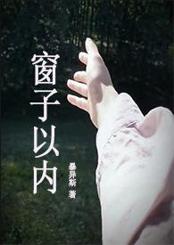 窗子以外简介