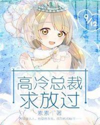 高冷总裁求复婚