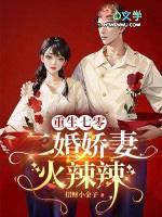 重生七零二婚当后妈