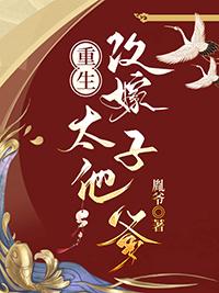 重生改嫁太子他爹文