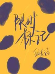 限时标记by甜麦子笔趣阁