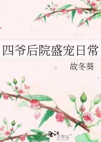 四爷后院盛宠日常全文免费阅读