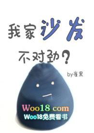 我家沙发不对劲类型