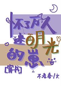 怀了万人迷情敌的孩子全章