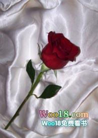 和联姻对象做p友阅读