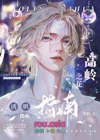 高岭之花攻略指南