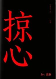 掠心by盈春林舒与