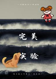 完美产品试验示范