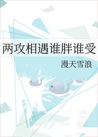两攻相遇广播剧