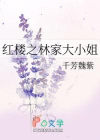 穿越红楼之林家大小姐