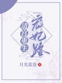 清宫宠妃晋江