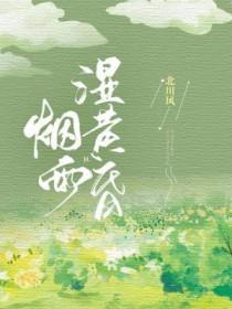烟雨朦胧对应的是