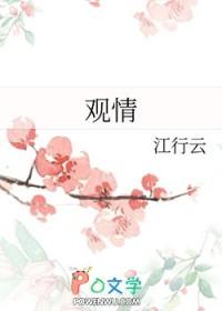 观情斋txt百度
