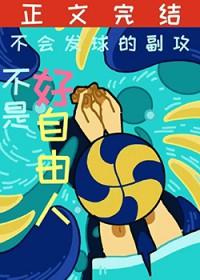 排球少年主攻手