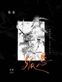 孤悬海外什么意思