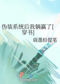 伪装系统应用