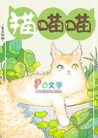 捡了流浪猫怎么处理