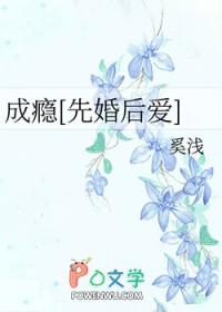 成瘾先婚后爱邵怀瑾安瑶