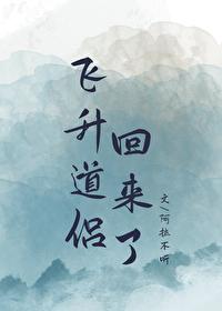 道侣飞升仙侠