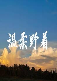 炽野温柔电视剧