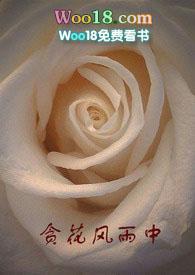 贪花风雨中 全文阅读