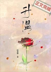 升温曲线图怎么做