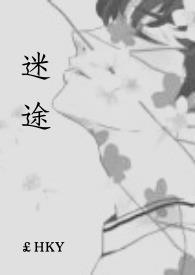 迷途红颜全集