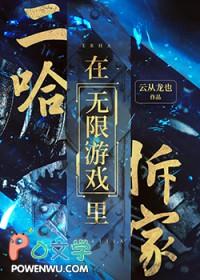 二哈在无限游戏里拆家简介