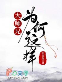 大师兄经历了什么