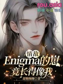 情敌Enigma的崽竟长得像我孩子怎么来的