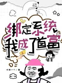绑定系统我成了首富最新章节