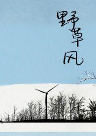 野草风筝的主要内容