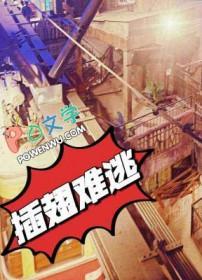 插翅难逃豆瓣评分