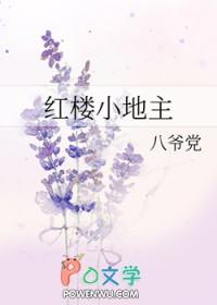红楼小地主沈青云