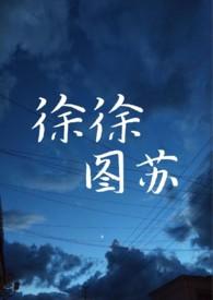 徐徐图之作品