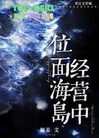 位面海岛经营中txt