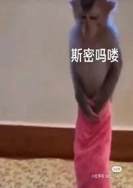 泡芙小姐动画版哪一集比较污
