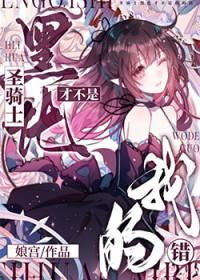 黑化圣骑士剧透