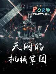 军团和天网