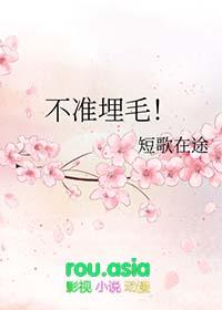 不准埋毛短歌在途免费阅读