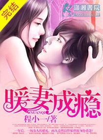 暖妻成瘾韩禛全书免费阅读全文