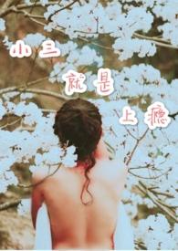小三就是上瘾免费全文阅读