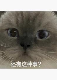 女主重生当天被强